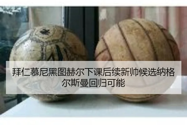 bai-ren-mu-ni-hei-tu-he-er-xia-ke-hou-xu-xin-shuai-hou-xuan-na-ge-er-si-man-hui-gui-ke-neng-2-246.jpg