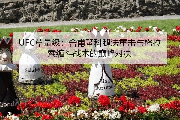 UFC草量级：舍甫琴科腿法重击与格拉索缠斗战术的巅峰对决