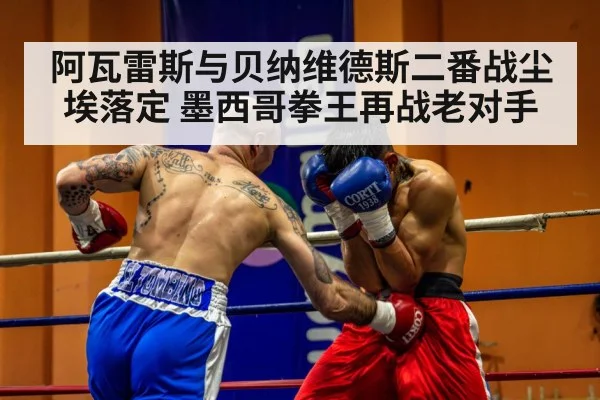 阿瓦雷斯与贝纳维德斯二番战尘埃落定 墨西哥拳王再战老对手