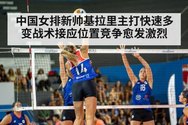 volleyball match