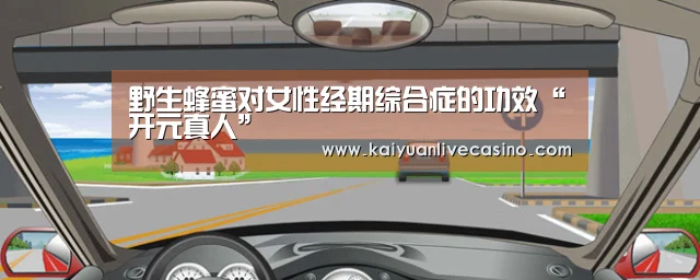 开元竞猜