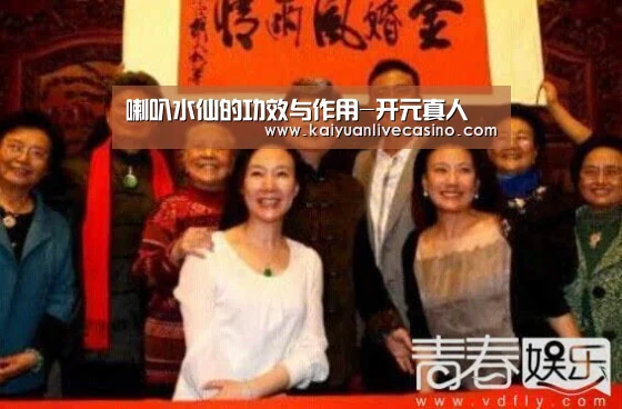 喇叭水仙的功效与作用-开元真人(图1) 开元电竞